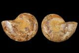 3.9" Cut & Polished Agatized Ammonite Fossil (Pair)- Jurassic - #131722-1